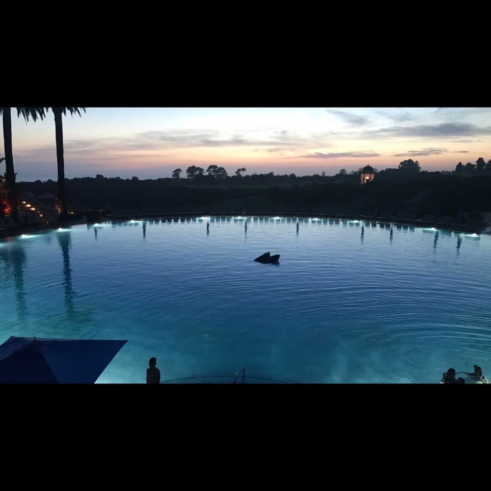 Meet your Posher, Krista